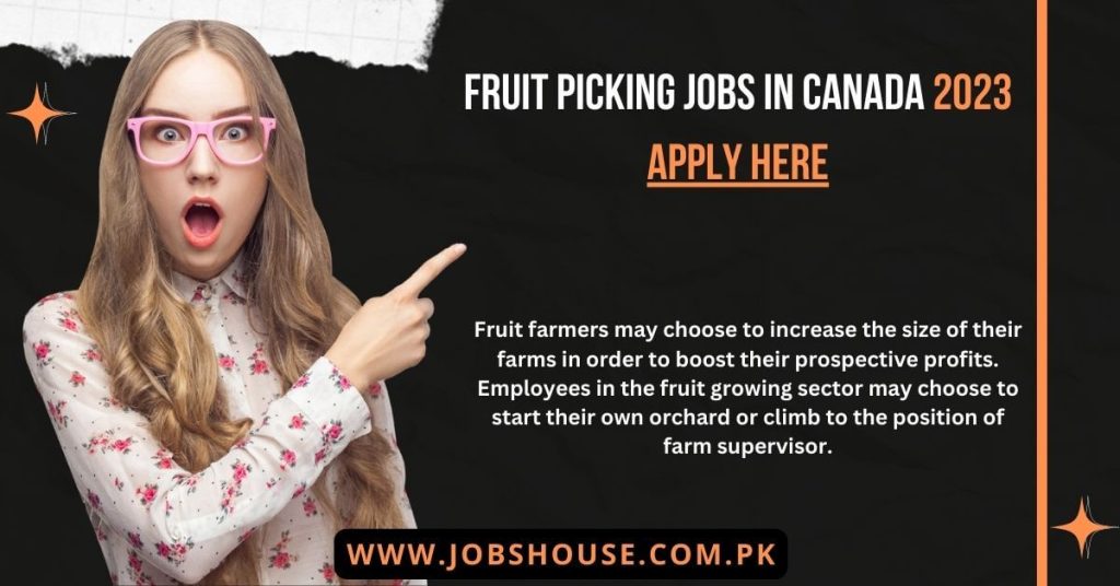 Fruit picking jobs in Canada 2023 Apply Here