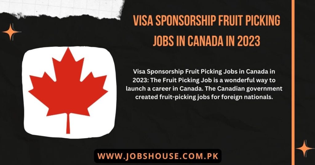 Visa Sponsorship Fruit Picking Jobs in Canada in 2023