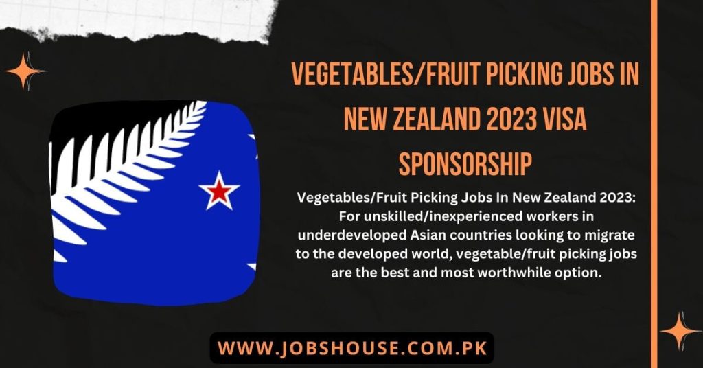 VegetablesFruit Picking Jobs In New Zealand 2023 Visa Sponsorship