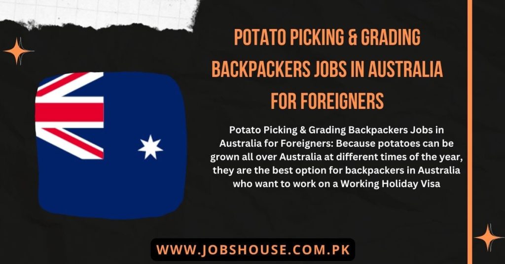 Potato Picking & Grading Backpackers Jobs in Australia for Foreigners